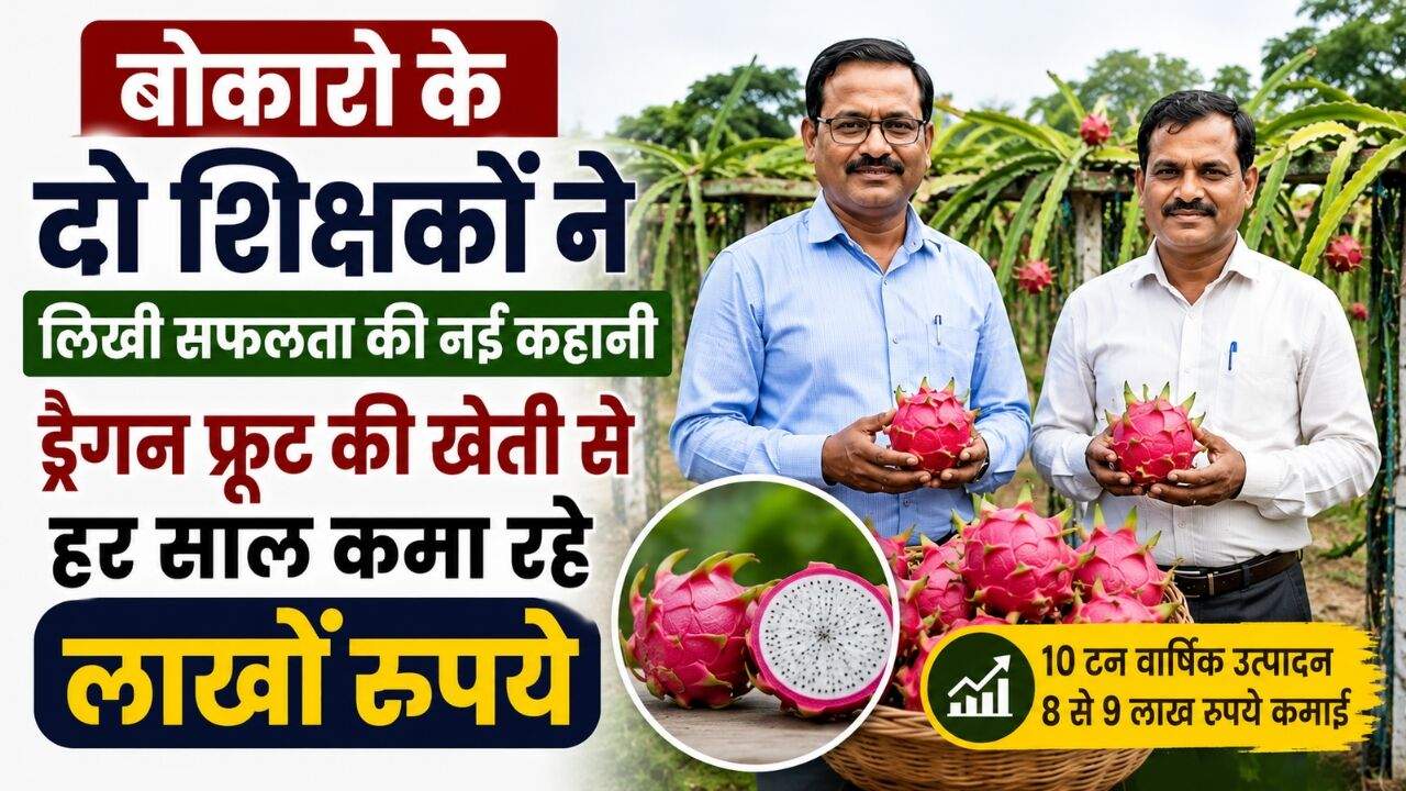 बोकारो के दो शिक्षक ड्रैगन फ्रूट की सफल खेती करते हुए