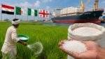 India Urea Import में मिस्र समेत चार देशों से बढ़ी यूरिया खरीद