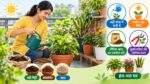Garden Care Tips: गमलों में लगे हरे-भरे पौधों की देखभाल